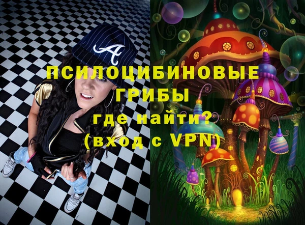 PSILOCYBIN Верея